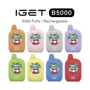 IGET B5000 Rechargeable Vape