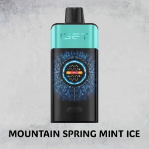 mountain spring mint ice – iget one – 10000 puffs.jpg